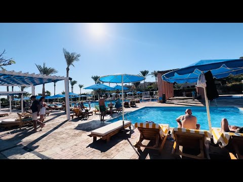 TAMRA BEACH RESORT 4*, SHARM EL SHEIKH, EGYPT. OUR RATING 8,9/10. LIVE 4K VIRTUAL HOTEL TOUR.