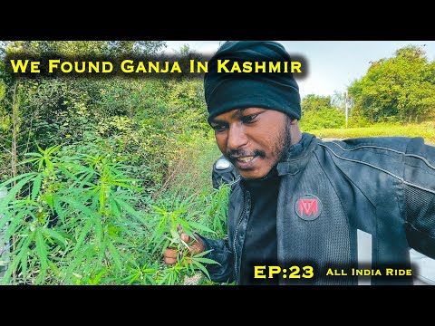 5000 Kms+ Ridden & Found Ganja In Jammu & Kashmir | EP:23 All India Ride | #rws