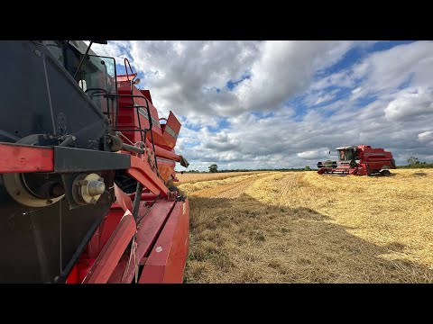 Malting Barley harvest amazing drone footage (now we’re farming)