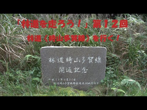 『林道を走ろう！』第１２回　林道時山多賀線を行く