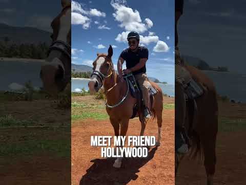 Hawaii beach front horse rides!!!