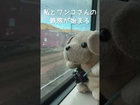 ワンコさん列車に乗る〜Take the "Wanko-san" train〜#shorts