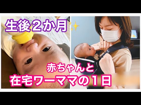 【生後2ヶ月】赤ちゃんと在宅勤務ママの1日【仕事復帰】