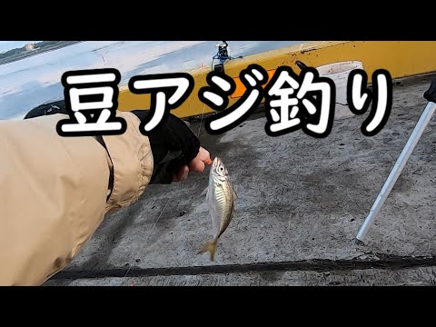 【サビキ釣り】豆アジの南蛮漬けを食べてみたい