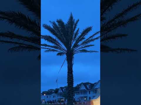 Coastal Storm Coming….         Saint Augustine Fl #shortsvideo #shorts