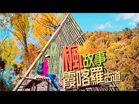 【霞喀羅古道】🍁楓紅的故事！導覽”說”給你聽！獵人便當🍱鹹香夠味～