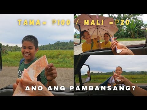 Ano ang Pambansang ______ ng Pilipinas.?pag TAMA =100/ pag MALI =20