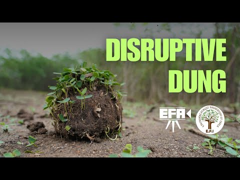 Disruptive Dung | Elephant and Invasive Weed | EFA x EFI