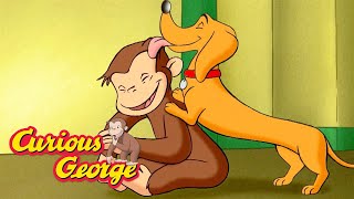 George and the Playful Dog! 🐵 Curious George 🐵 Kids Cartoon 🐵 Kids Movies