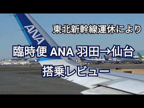 臨時フライト ANA羽田→仙台に搭乗