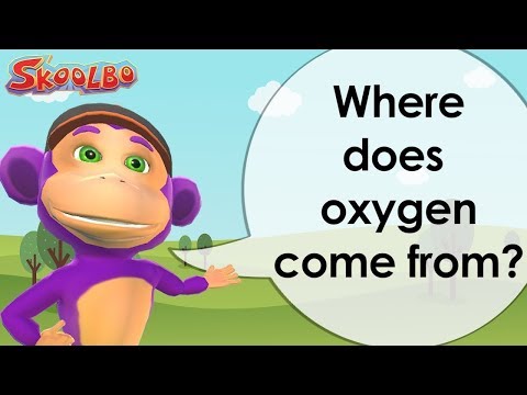 Curiosity - Where does oxygen come from?