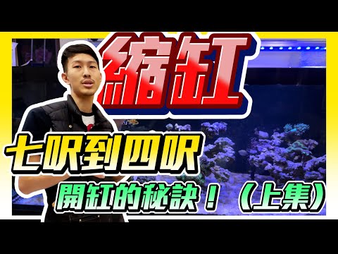 【藍箱水族】移動到新缸！整片滿滿海水缸知識分享！不看絕對後悔！