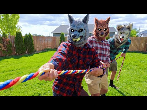 Wolf Surprises Puppy with Tug of War!