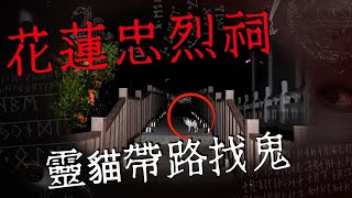 夜闖花蓮忠烈祠 巧遇靈貓帶路找鬼