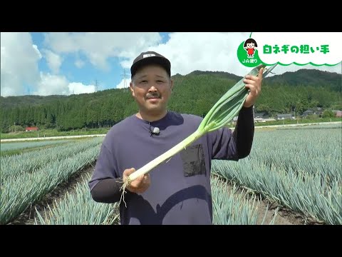 白ネギ作りに情熱を注ぐ若手生産者！親友とともに産地を盛り上げます｜【笑味ちゃん天気予報】2024年9月9日放送