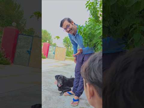 Bachho usko bhi do wo hamara dog hai 😳😍 #trending #ytshorts #viralvideos #shorts