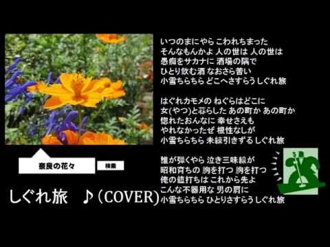 しぐれ旅　　鳥羽一郎　♪（COVER