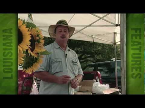 Red Stick Farmers Market now accepting Farmers Market vouchers. (2000)