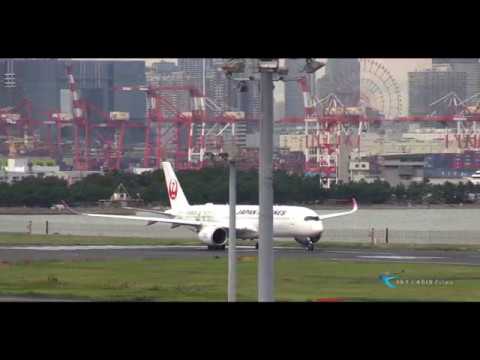 【 エコのグリーン!! JAL エアバスA350 3号機を羽田で撮る!! 】 Japan Airlines(JAL) Airbus A350-900 JA03XJ