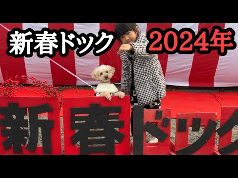 【犬のイベント】新春ドッグ2024年いってみた💖