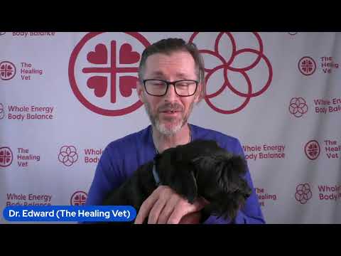 The Dog Anxiety Summit Expert Speaker, Dr Matthew Muir