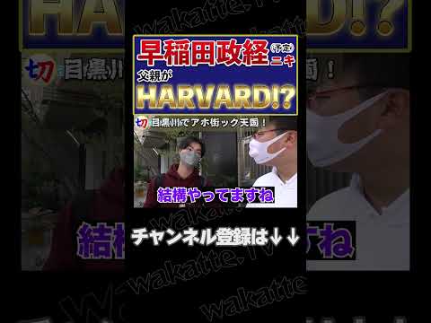 【父親がハーバード!?】父親がアイビーリーグ出身!?【wakatte.tv切り抜き】 #shorts #wakattetv #ハーバード #早稲田