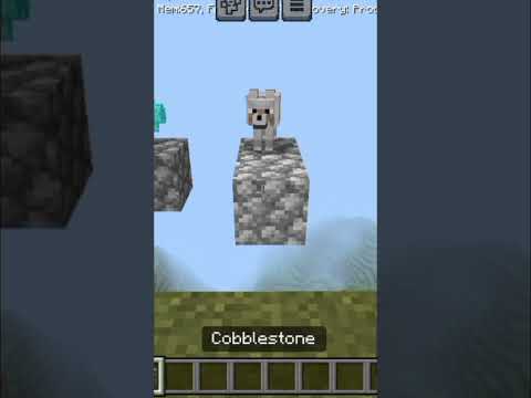 Help a dog or choose rare items in Minecraft | Minecraft build hacks #minecraft #minecraftheads #fun