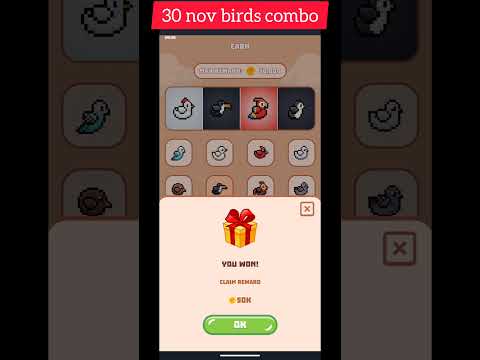 BIRDS 30 NOV COMBO CARD || BIRDS DAILY COMBO CARD || BIRDS AIRDROP