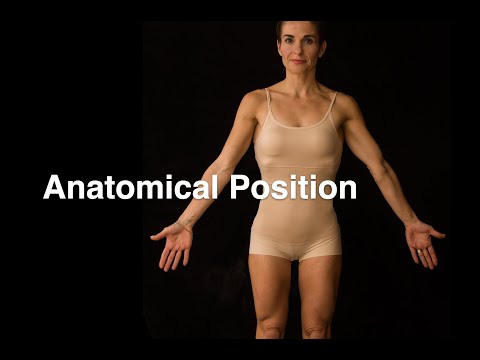 Anatomical position