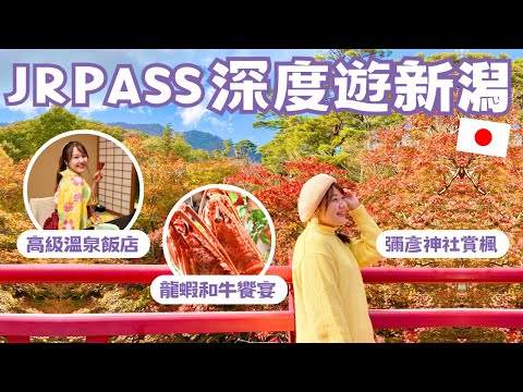 用JR pass玩新潟山形｜高級溫泉飯店、龍蝦和牛鮑魚大餐、彌彥神社賞楓🍁浴衣溫泉街散策👘｜ 留言抽U1手做禮物🎁｜ft. @joytv168 ｜日本有個U1