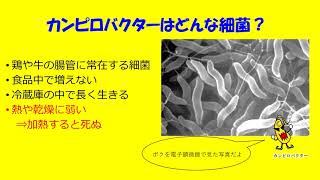 【注意】カンピロバクター食中毒について