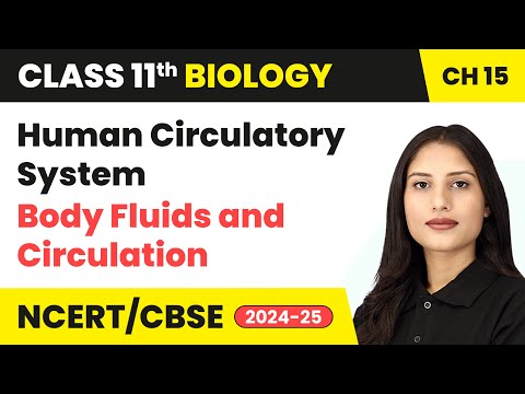 Human Circulatory System - Body Fluids and Circulation | Class 11 Biology Chapter 15 | CBSE 2024-25