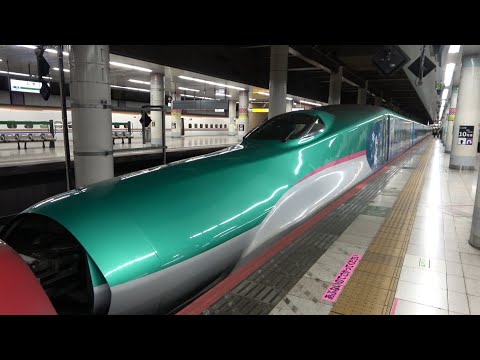 11/23/2024 Japan Railways Tohoku Shinkansen: E5 Series U6 Set "Magical Journey Shinkansen" at Ueno