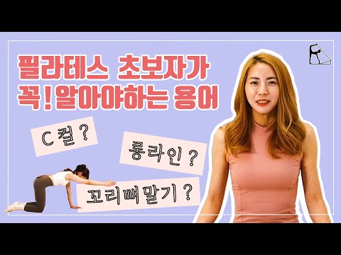 필라테스 초보자가 꼭 알아야하는 필수 용어 | C컬 롱라인 꼬리뼈말기