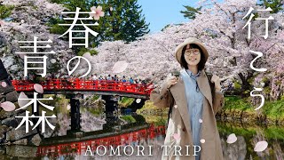 日本一美しい春を旅しよう🌸1日2日で大満喫の青森旅行｜弘前市・青森市