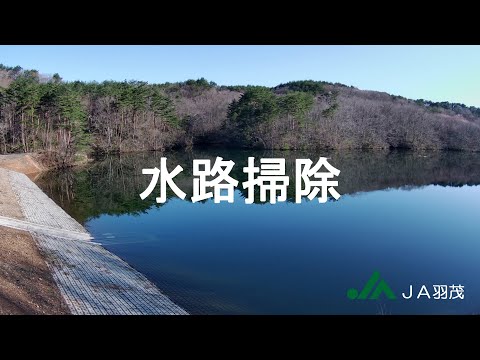 「水路の掃除」