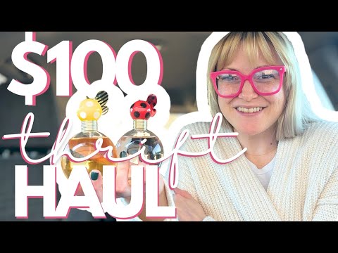 I spent $100 in 30 minutes at Goodwill | Mini Thrift Haul | full time reseller