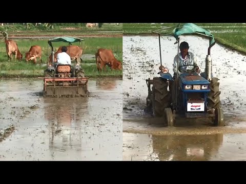 Farmers are preparing to plant rice on the countryside field