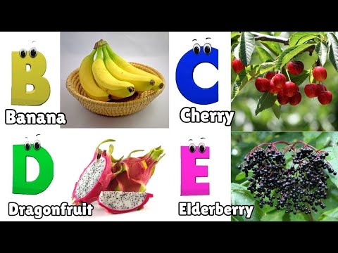 Fruit ABC Song | Fruit Alphabet Song | Phonics for Kids | Alphabet Letters