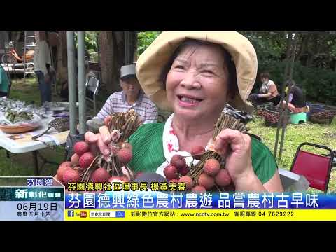 新彰化新聞20240619 芬園德興綠色農村農遊 品嘗農村古早味