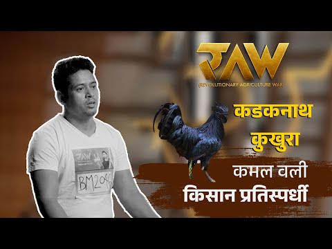 कडकनाथको विशेषता र महत्व | Contestant Kamal Oli | RAW: Revolutionary Agriculture War