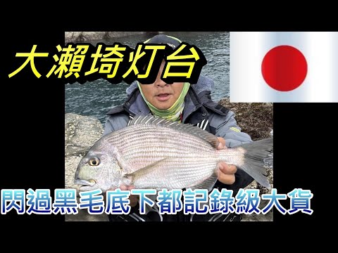 日本釣魚大瀨埼灯台 整海都是黑毛像台灣厚殼仔一樣多 要閃過毛底下都是大物 糾團啦改天再來去日本釣魚