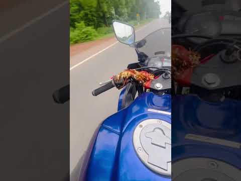 Rollin #shorts #trending #viralvideo #rider