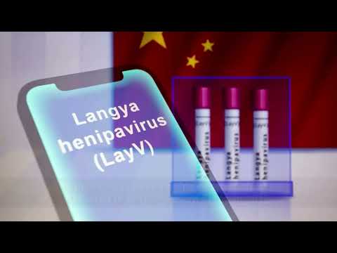 Langya henipavirus (LayV): New virus detected in China infects 35 people