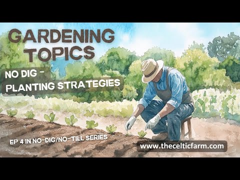 Seeding Success: How to Plant in a No-Dig Garden for Maximum Growth! 🌱