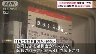 11月の電気料金　8社で値下がり　政府の補助金は年末まで延長(2023年9月28日)