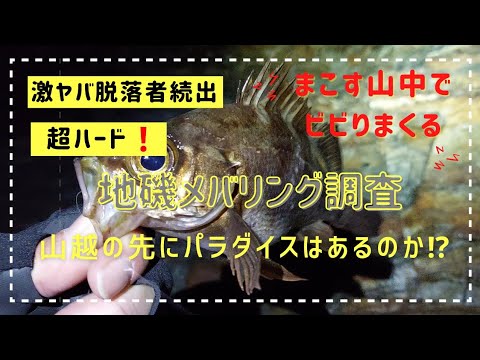 超ハード❗地磯メバリング調査に行ってみた❗山を越えたその先はメバルパラダイス⁉️