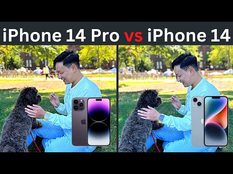 iPhone 14 Pro vs iPhone 14 - Photo Comparison