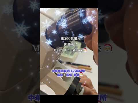 用260萬購入你要嗎？Merry Christmas 🎅