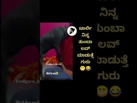 Troll Kannada | Sonu Srinivas Gowda Video Leaked Today Troll Sonu Srinivas Gowda Youtube Troll |  |